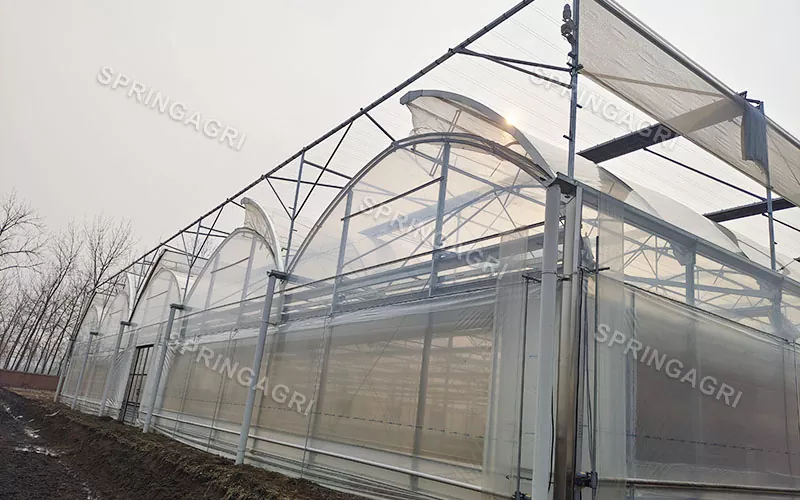 Seră cu film transparent de 150 micros PO
