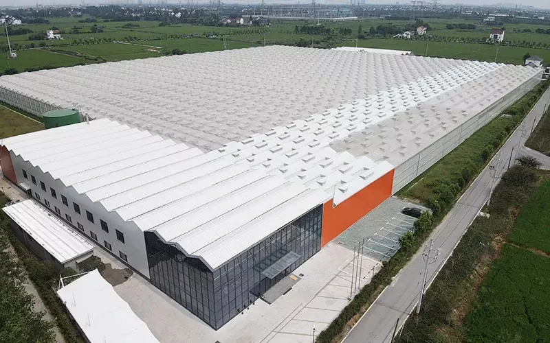 Avantajele serii din sticlă multispan