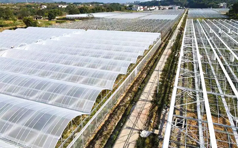 Explorați Ridge - Sere ventilată din plastic pentru a crește producția și a rezolva problema temperaturii ridicate