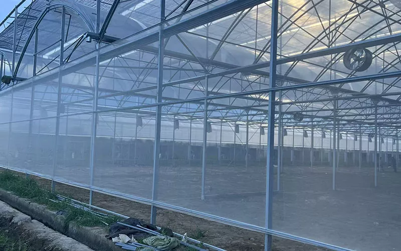 Net de insecte de seră conduce o nouă tendință în controlul dăunătorilor