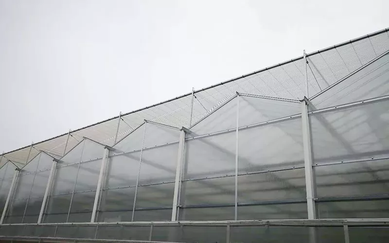 Avansat PC PC Pionieri Pionieri Agricultură durabilă