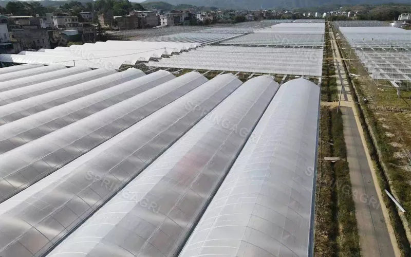 Sere economice pentru agricultură din plastic PE Multispan