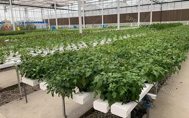 Sisteme de creștere hidroponică pentru agricultură verticală NFT